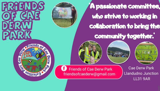 FRIENDS OF CAE DERW PARK