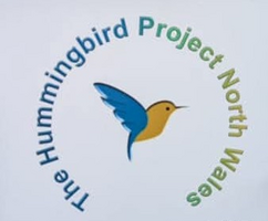 The Hummingbird Project North Wales
