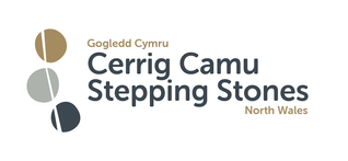 Cerrig Camu Gogledd Cymru